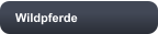 Wildpferde